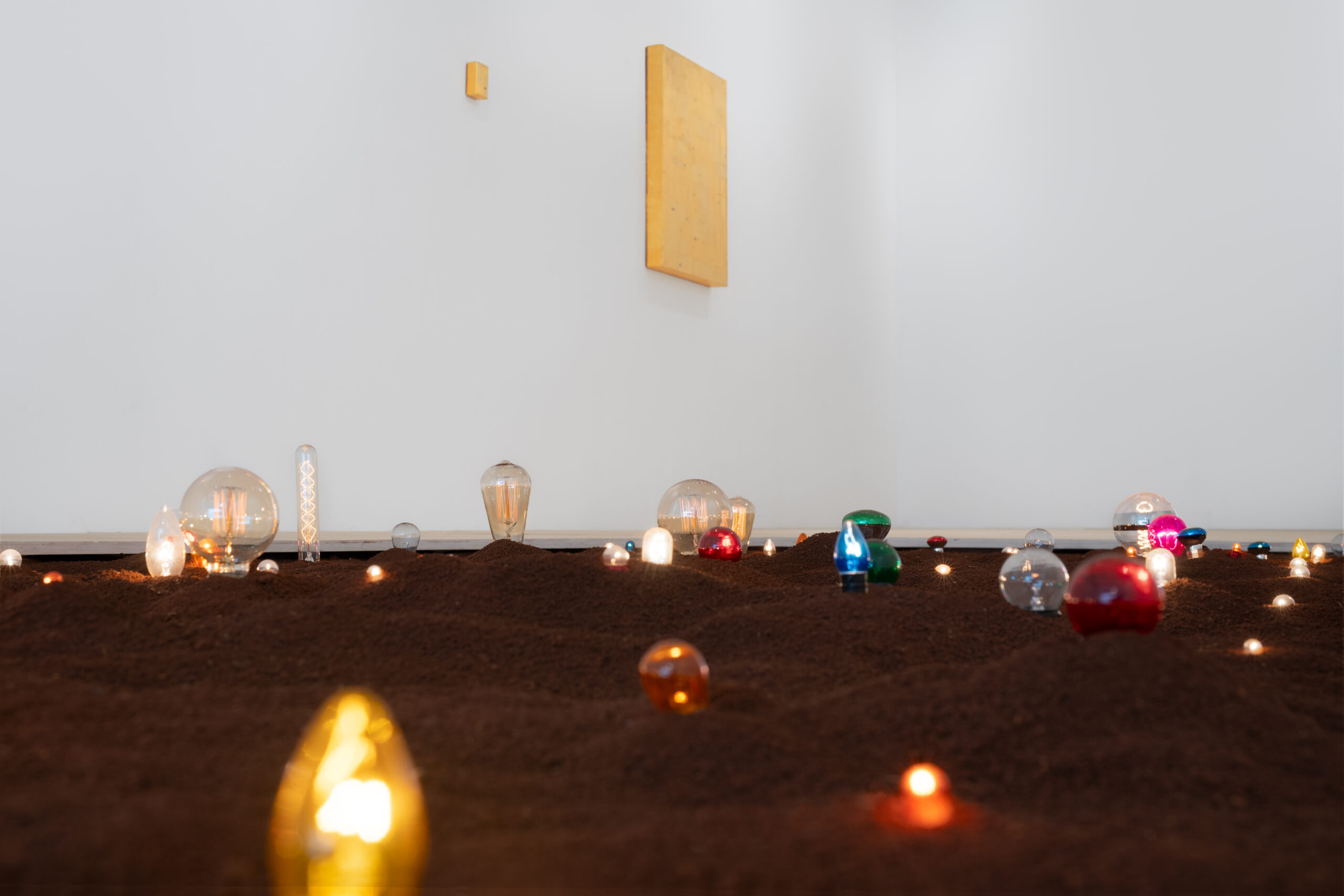 De Olhos Fechados Vemos o Sol - Five to Nine_20250821_Ph Julia Thompson_10